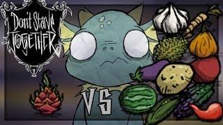 SHOULD WURT REALLY FARM DRAGONFRUIT? | Don't Starve Together Guide