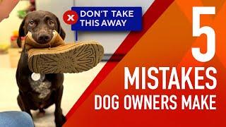 5 mistakes I Wish I Knew Before Training My Dog — Avoid these mistakes!