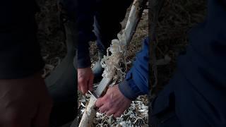 ️ Bushcraft skills for survival #survival #camping #bushcraft #outdoors