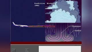 Weather Radar & Predictive Windshear System Boeing 737600 700 800 900 Ng