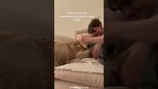 Dogs will always trust you and love you.️ #animals #doglove #funny #dogtime #dog #foryou #fyp #pet