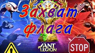 Ant Legion: ЗАХВАТ ФЛАГА | РЕГИСТРАЦИЯ