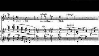 Amor by Richard Strauss, Elizabeth Parcells