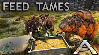 How to Feed Tame Dinos in Ark with Feeding Trough