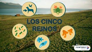 Los Cinco Reinos