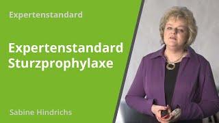 Expertenstandard Sturzprophylaxe Fall Stefan Sturz