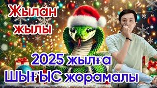 2025 жылға ШЫҒЫС жұлдыз-жорамалы (туған жыл бойынша)