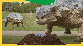 Epic Dino Matchmaking  & Claw-some Adventures ! | @DinoKids | Dinosaurs for Kids