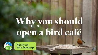 Why you should open a bird café | RSPB Nature on Your Doorstep