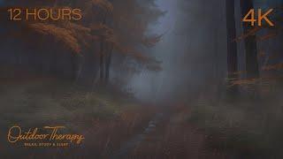 A Rain Soaked Path to Calm Your Noisy Mind - Immersive Autumn Rain Sounds Ambience [4K] 12 HOURS