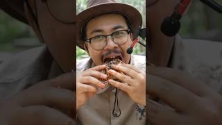 ASMR Eating Honeycomb  #shorts