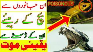 06 MOST DANGEROUS ANIMALS In The World || Sabir TV