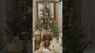 Christmas Inspiration #christmasdecor #christmasdecorations #christmas2023