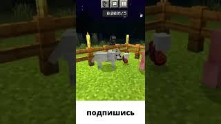 Я ничего против не имею!!!! #minecraft #майнкрафт #shorts #майнкрафтприколы