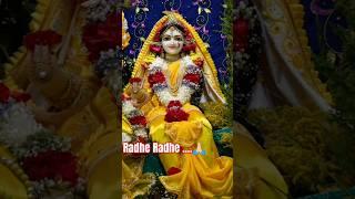 Radha Naam Dhuni जय श्री राधे कृष्ण#radheradhe​ #krishna​ #radha​ #shorts​ #bhajan​ #shortsfeed