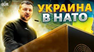 Украину позовут в НАТО уже этим летом. Что придумала Польша?