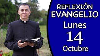 Evangelio de Hoy Lunes 14 de Octubre de 2024  Lectura y Reflexión