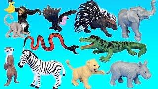 Jungle Adventure Wild Animals Playset For Kids - Animal Toys Video