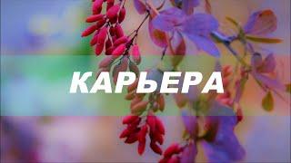 Успешная карьера / Карьерный рост. Ремейк. Скрытые аффирмации. Саблиминал.