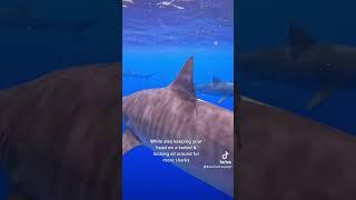 Mermaid Kayleigh's Viral Videos 2022