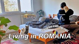 Daily life of an Introvert in Romania | Vlogmas 5 | Cooking & Cleaning I A silent vlog with my cats