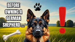 Things to know before buying a German Shepherd #gsd