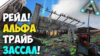 Рейд ссыкливого АЛЬФА трайба в АРК! Поставили ВЫСКОЧЕК на место в ARK Survival Evolved