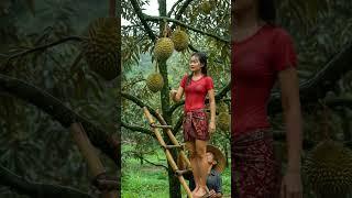 Harvesting Durian in the Rain | A Daughter’s Strength #rainoundforsleep #sleepsounds #shortsviral