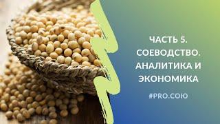 Часть 5. СОЕводство. Аналитика и экономика | Пять вечеров PRO.СОЮ