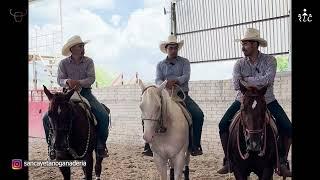 Capítulo 7 - Jinetes y Caballos de Ganadería San Cayetano- Tacuachín, Kíkiras y Chuy Ponce