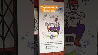 Украинская колония в Парагвае. Не забывают традиции. #америка #латина #парагвай #боливия #украина #