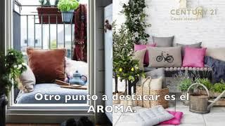 Tu Casa, Tu Vida: La Decoración de Balcones Urbanos