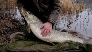 Pike fishing uk Winter stillwater - tips tricks tactics technique equipment - Silent Angling