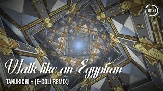 Tanukichi - Walk like an Egyptian (E-Coli Remix)