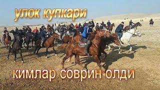 БЕШАРИК УЛОК 2020 100 %