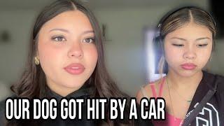 Our Dog Got Hit By A Car (STORY TIME)
