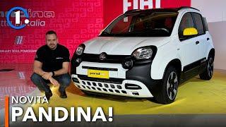 Fiat PANDINA (2024)  Serie speciale IBRIDA con ADAS e nuovi display! Da giugno