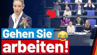 Alice Weidel knöpft sich die Grünen vor!  - AfD-Fraktion im Bundestag