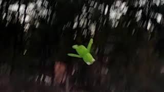 Kermit finds out his ancestors are birds