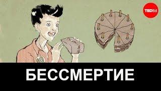 ЧТО ЕСЛИ БЫ МЫ БЫЛИ БЕССМЕРТНЫМИ??? / TED ED НА РУССКОМ