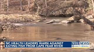 NC health leaders warn against eating fish from Cape Fear River