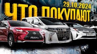 Обзор парковки Sferacar  Сроки доставки и актуальные цены на автомобили под заказ 