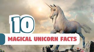 10 Magical Unicorn Facts