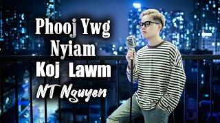 Phooj Ywj Nyiam Koj Lawm (Piano Version) NT one Cover