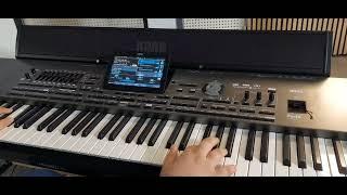 "My ️ will go on" [Titanic Song] / Korg PA4X-M Performance