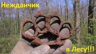 КРИМИНАЛЬНАЯ НАХОДКА В ЛЕСУ. КОП В ГЕРМАНИИ.
