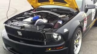 rare shelby terlingua owned by Carroll Shelby