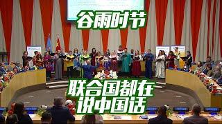 谷雨时节 联合国都在说中国话