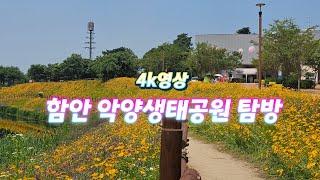 함안 악양생태공원 탐방-4k영상