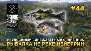 Неуловимый Синежаберный Солнечник. Рыбалка не реке Нейеррин - Fishing Planet #44